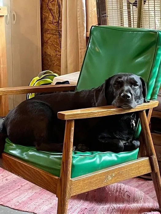 Buzard camp Picture 5