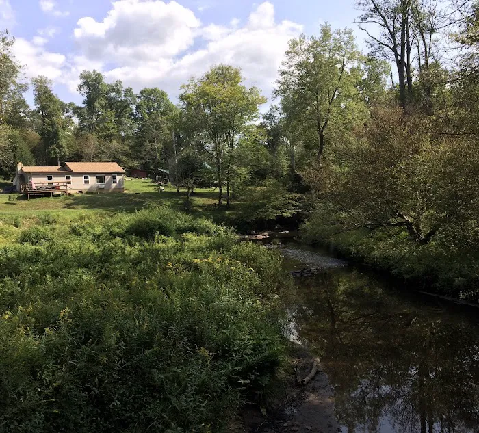 Buzard camp Picture 9