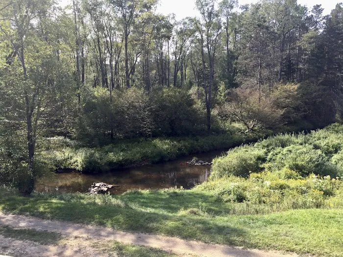 Buzard camp Picture 8