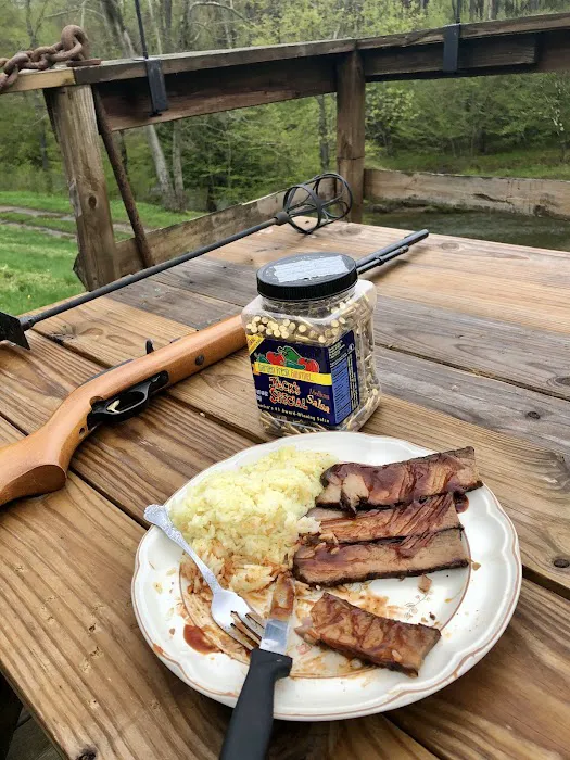 Buzard camp Picture 7