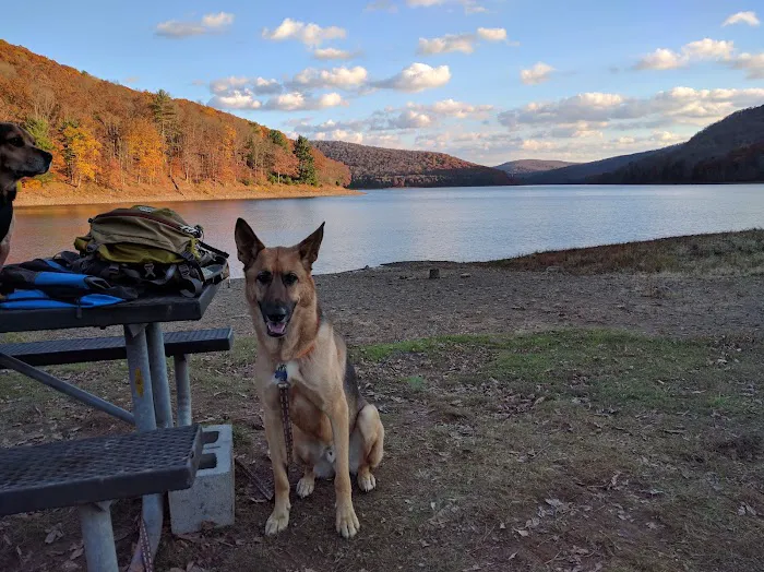 Morrison Campground Picture 5