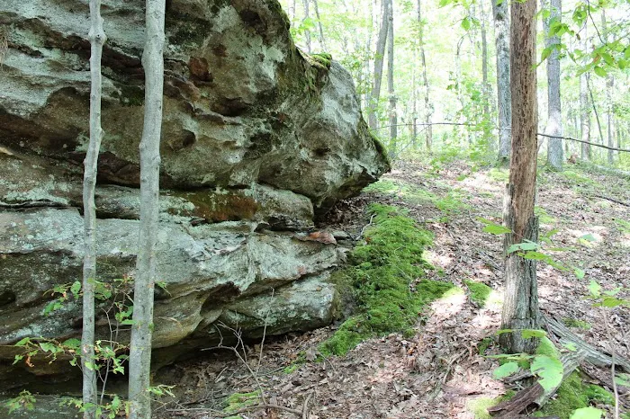 Tracy Ridge Campground Picture 2