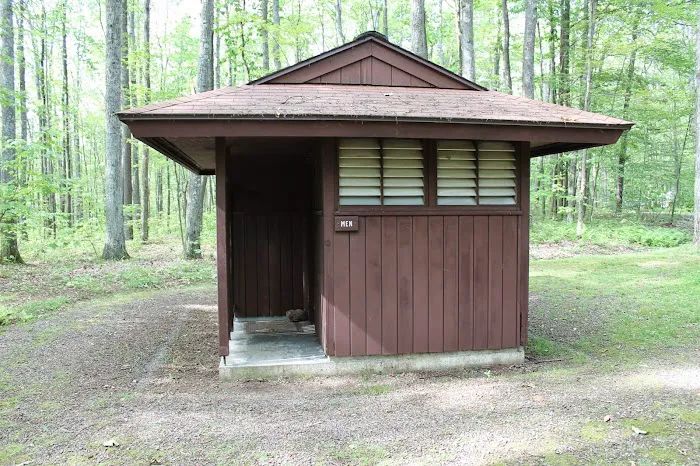 Tracy Ridge Campground Picture 4