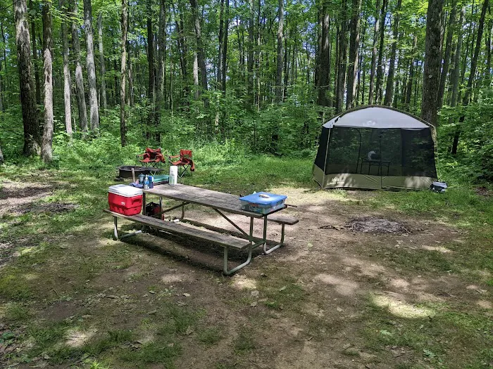 Tracy Ridge Campground Picture 8