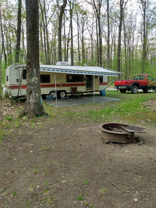 Tracy Ridge Campground Picture 7