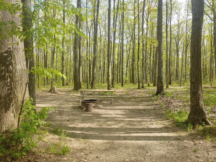 Tracy Ridge Campground Picture 9