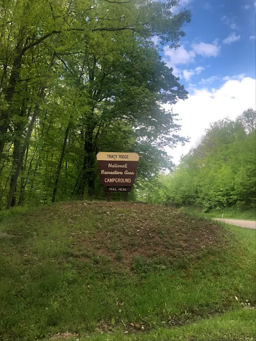 Tracy Ridge Campground Picture 10