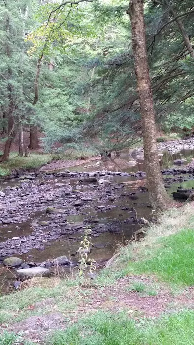 Creekside Cabins Picture 7