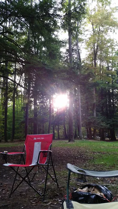 Creekside Cabins Picture 4