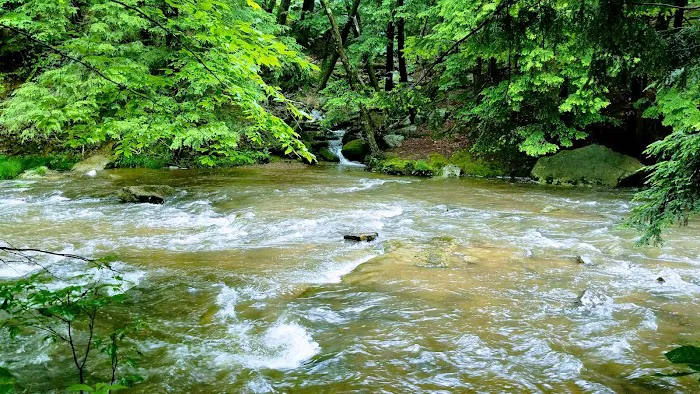 Creekside Cabins Picture 3