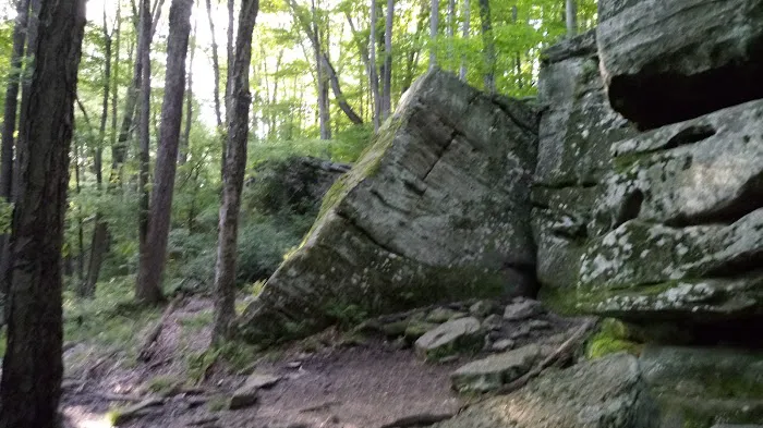 Creekside Cabins Picture 2