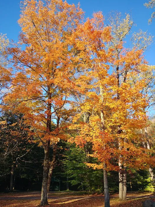 Creekside Cabins Picture 6