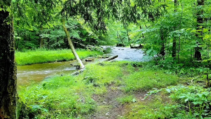 Creekside Cabins Picture 10