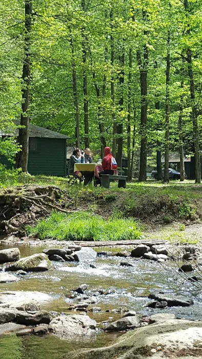 Buffalo Cabins Picture 4