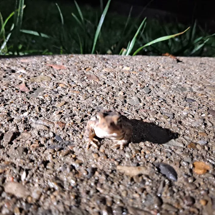 Angle Cabins Picture 1