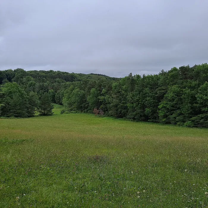 Angle Cabins Picture 6