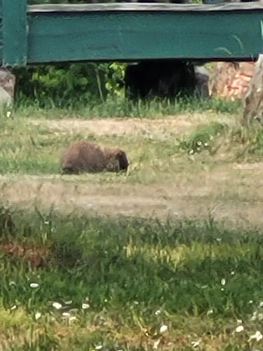 Angle Cabins Picture 4