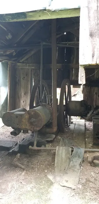 Pine Grove Campground Picture 3