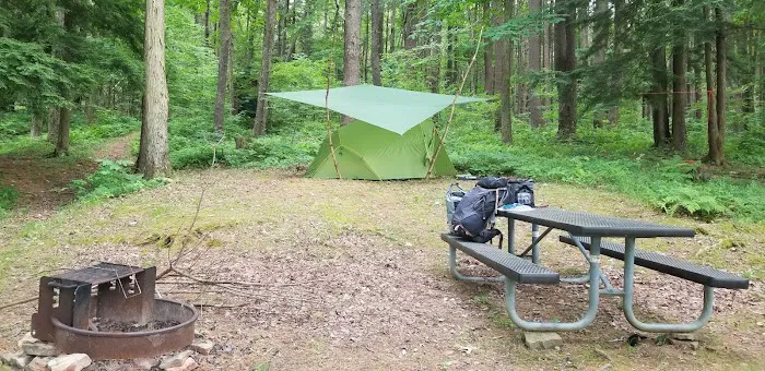 Pine Grove Campground Picture 6