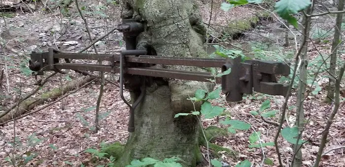 Pine Grove Campground Picture 2