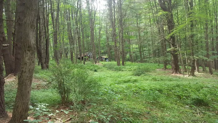 Pine Grove Campground Picture 9