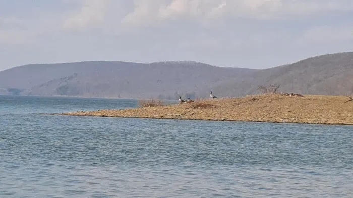 Handsome Lake Campground Picture 2