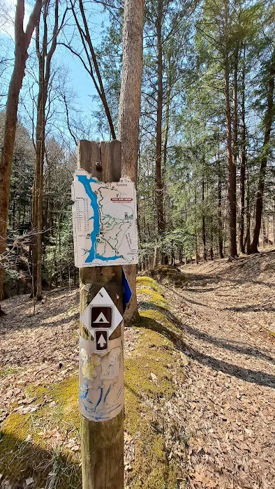 Handsome Lake Campground Picture 5