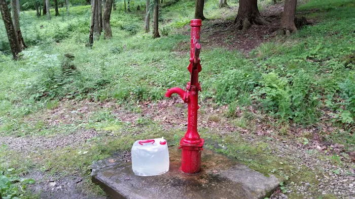 Handsome Lake Campground Picture 4