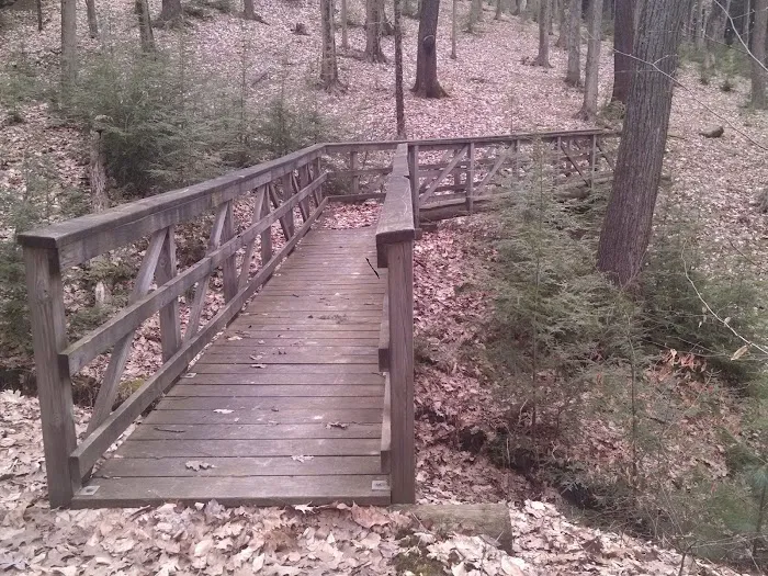 Handsome Lake Campground Picture 6