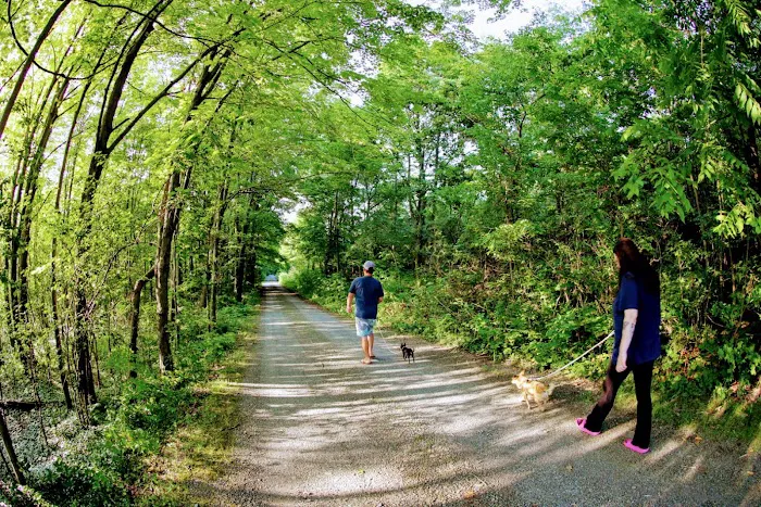 Dewdrop Campground Picture 5