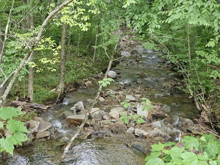 Dewdrop Campground Picture 4