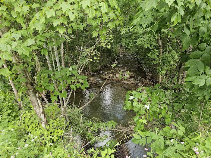 Dewdrop Campground Picture 2