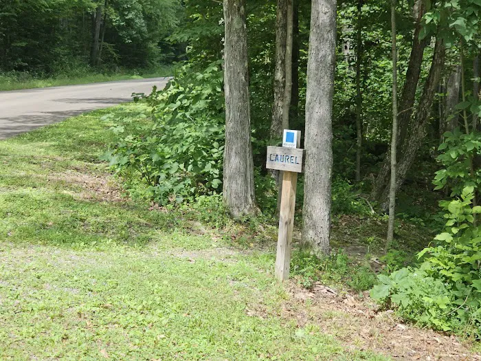 Dewdrop Campground Picture 3