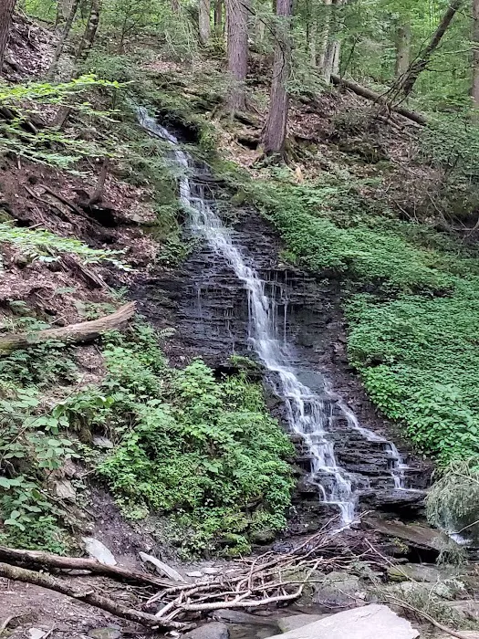 Gypsy Cabins now named Bear Ridge Cabins Picture 6