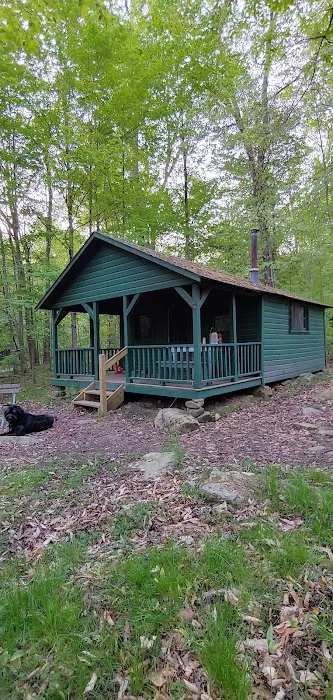 Gypsy Cabins now named Bear Ridge Cabins Picture 4