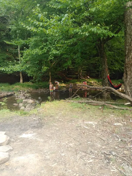 Gypsy Cabins now named Bear Ridge Cabins Picture 3