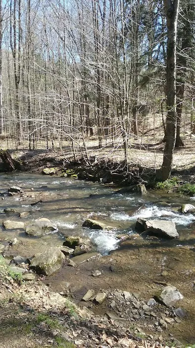 Gypsy Cabins now named Bear Ridge Cabins Picture 8