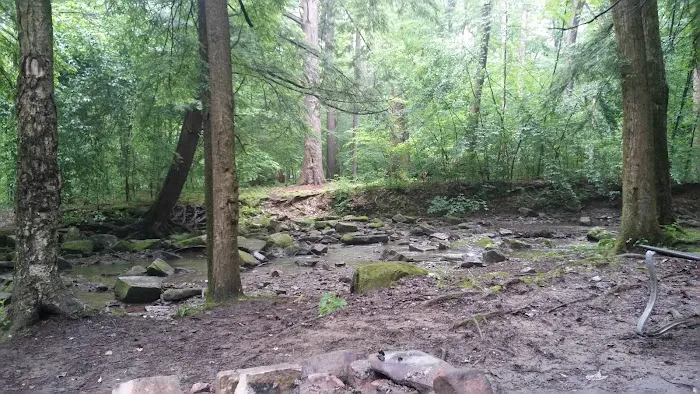 Gypsy Cabins now named Bear Ridge Cabins Picture 9