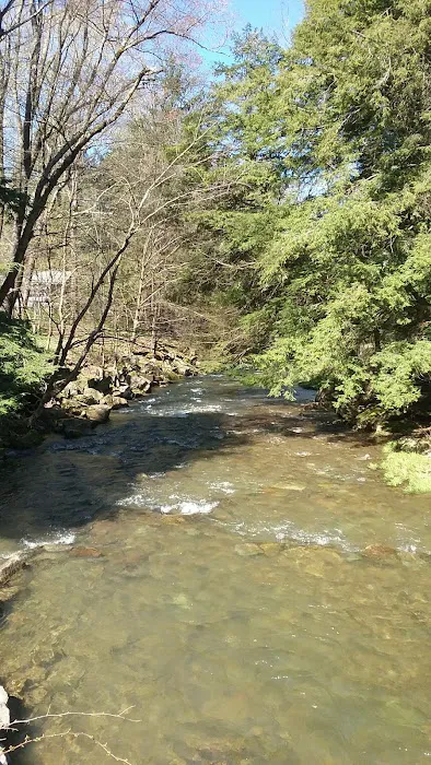 Gypsy Cabins now named Bear Ridge Cabins Picture 7
