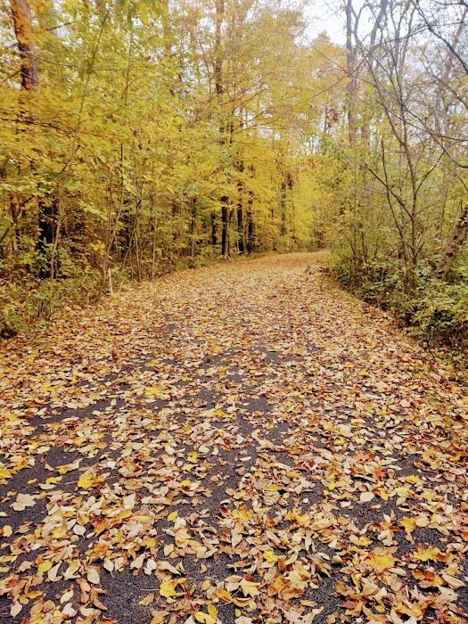 Gypsy Cabins now named Bear Ridge Cabins Picture 10