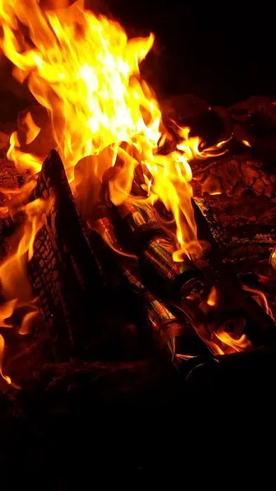 Coon Cabins, Allegeny State Park Picture 1