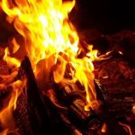 Coon Cabins, Allegeny State Park