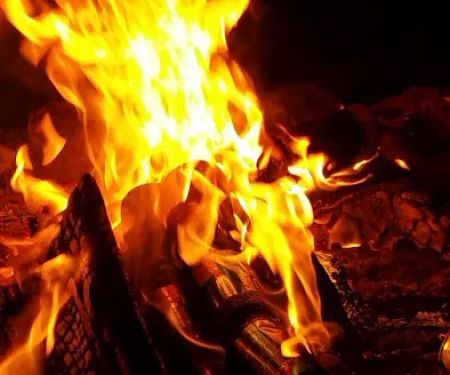 Coon Cabins, Allegeny State Park