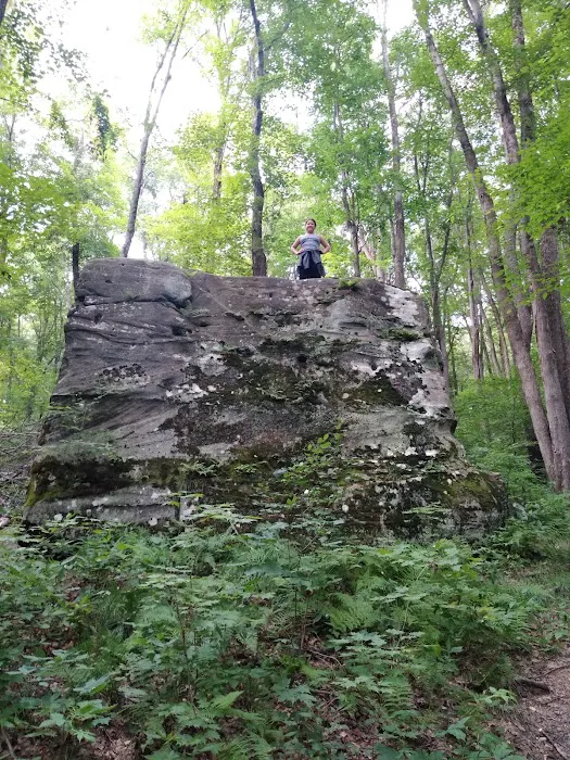 Indian Cabins Picture 6