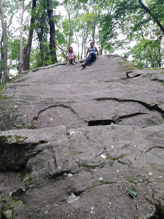 Indian Cabins Picture 4