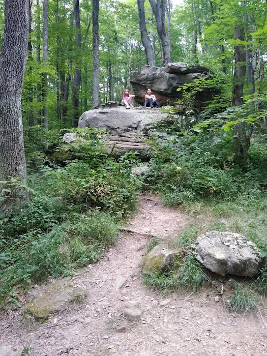 Indian Cabins Picture 3