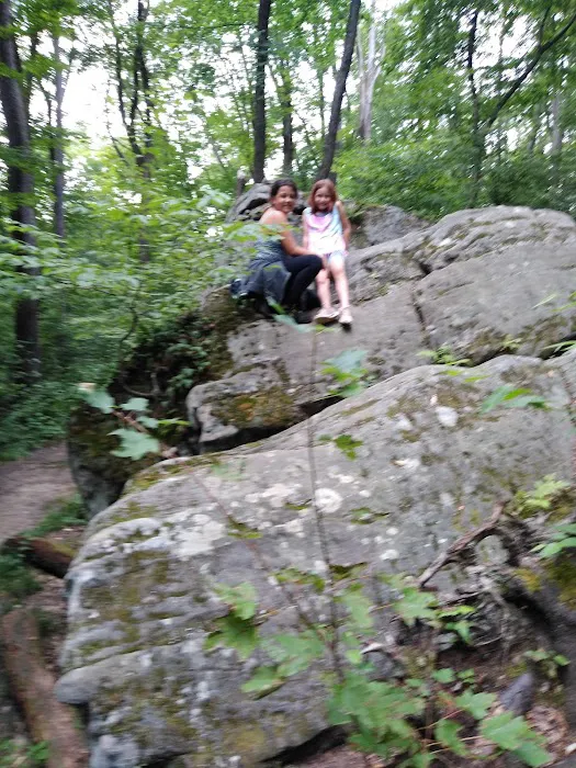 Indian Cabins Picture 1