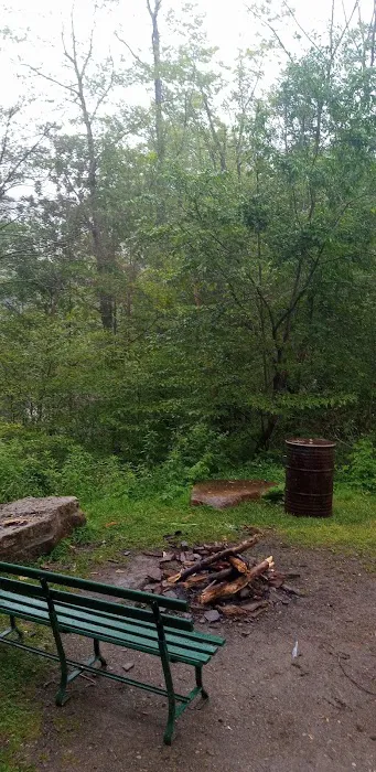 Hamlin Cabins Picture 2