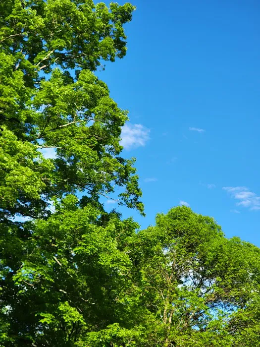 Hamlin Cabins Picture 7