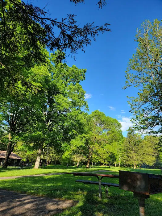 Hamlin Cabins Picture 9